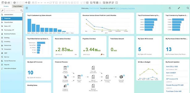 SAP Business One Analytics Dashboard